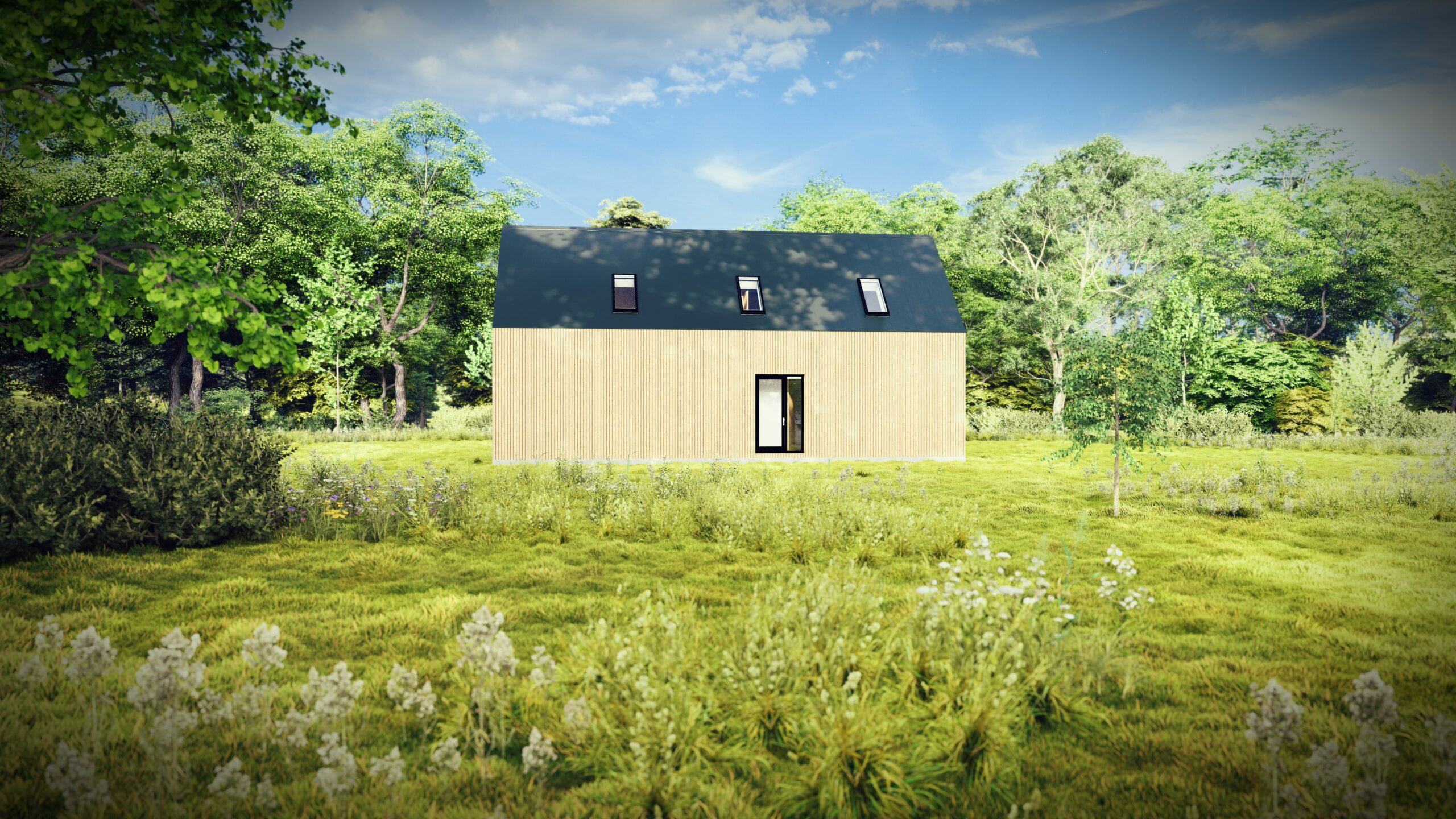 2_Longhouse LX2_ VIZ 3