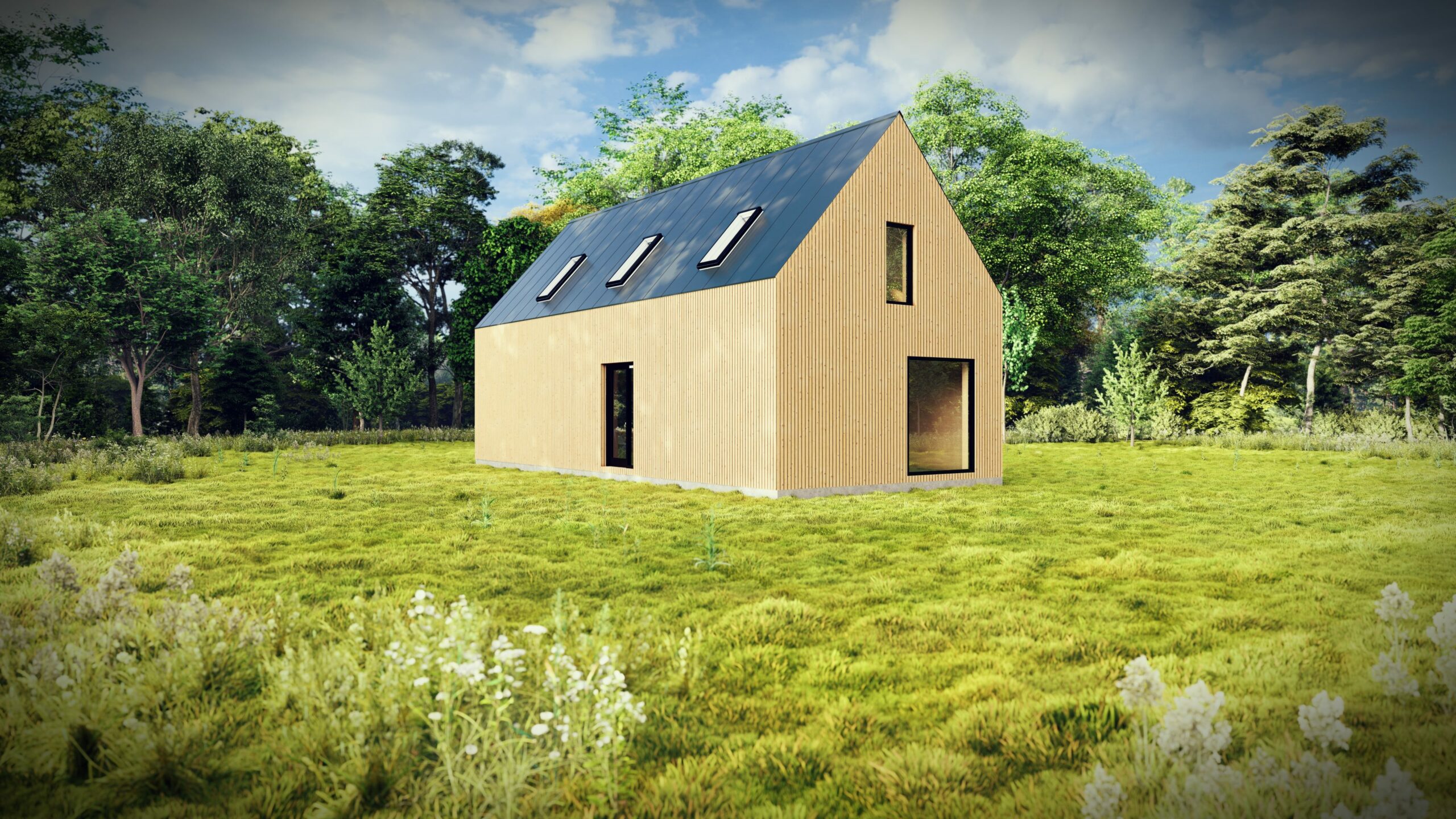 2_Longhouse LX2_ VIZ 4