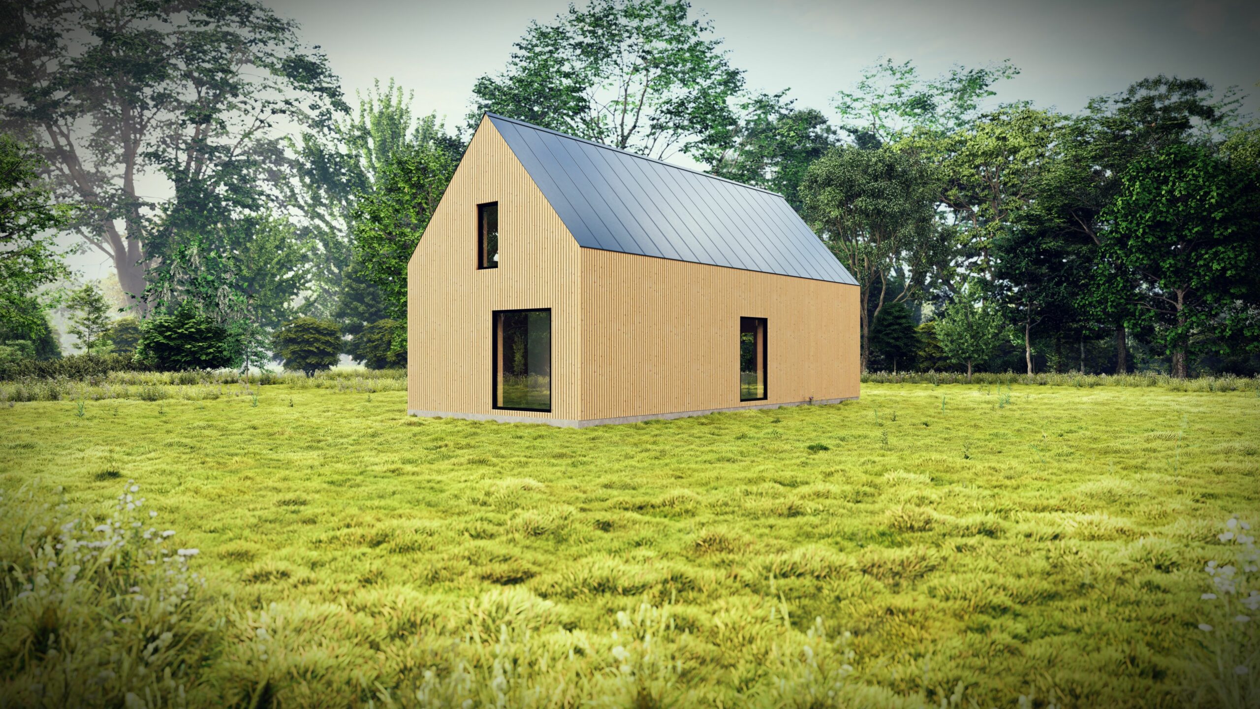 2_Longhouse LX2_ VIZ 6