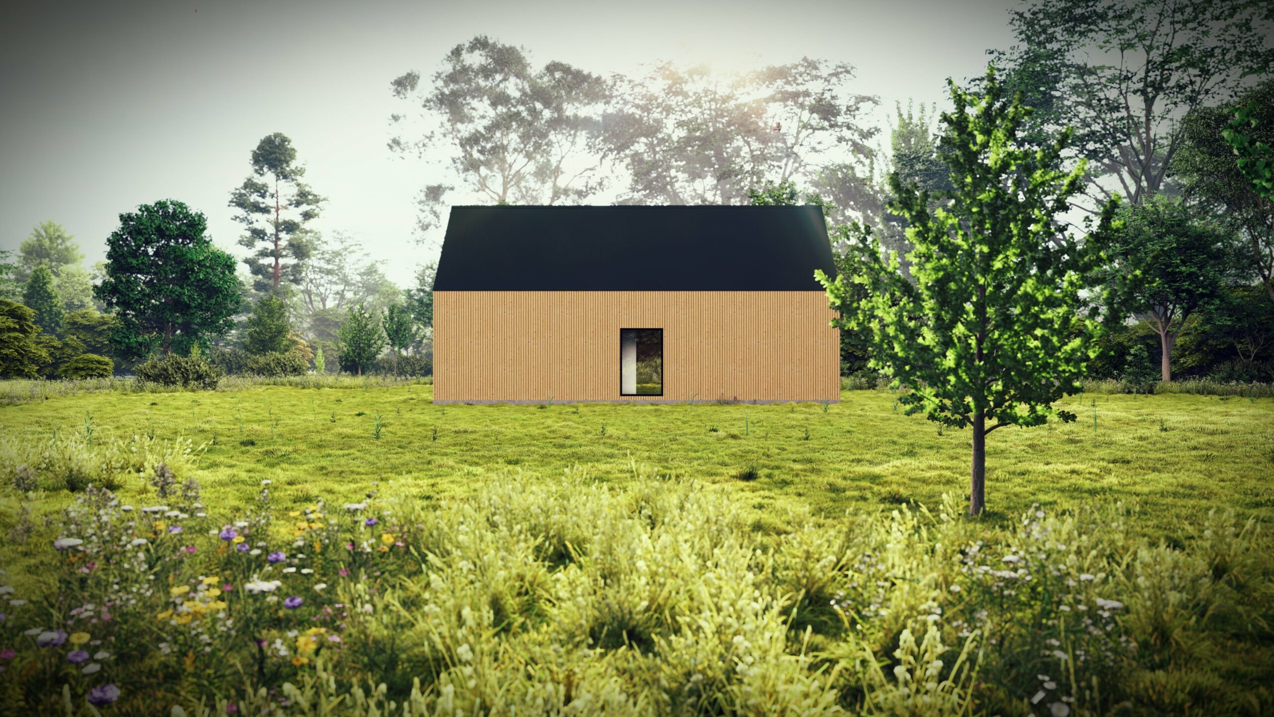 2_Longhouse LX2_ VIZ 7