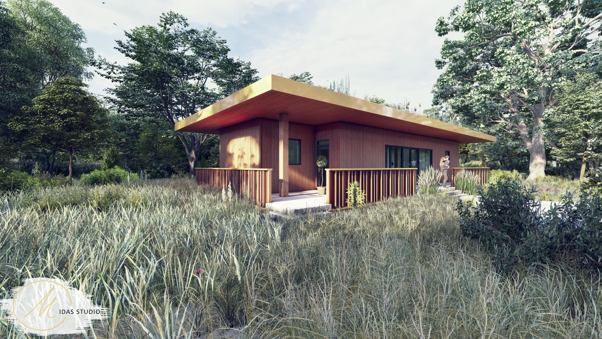 xx5_render__1_compressed