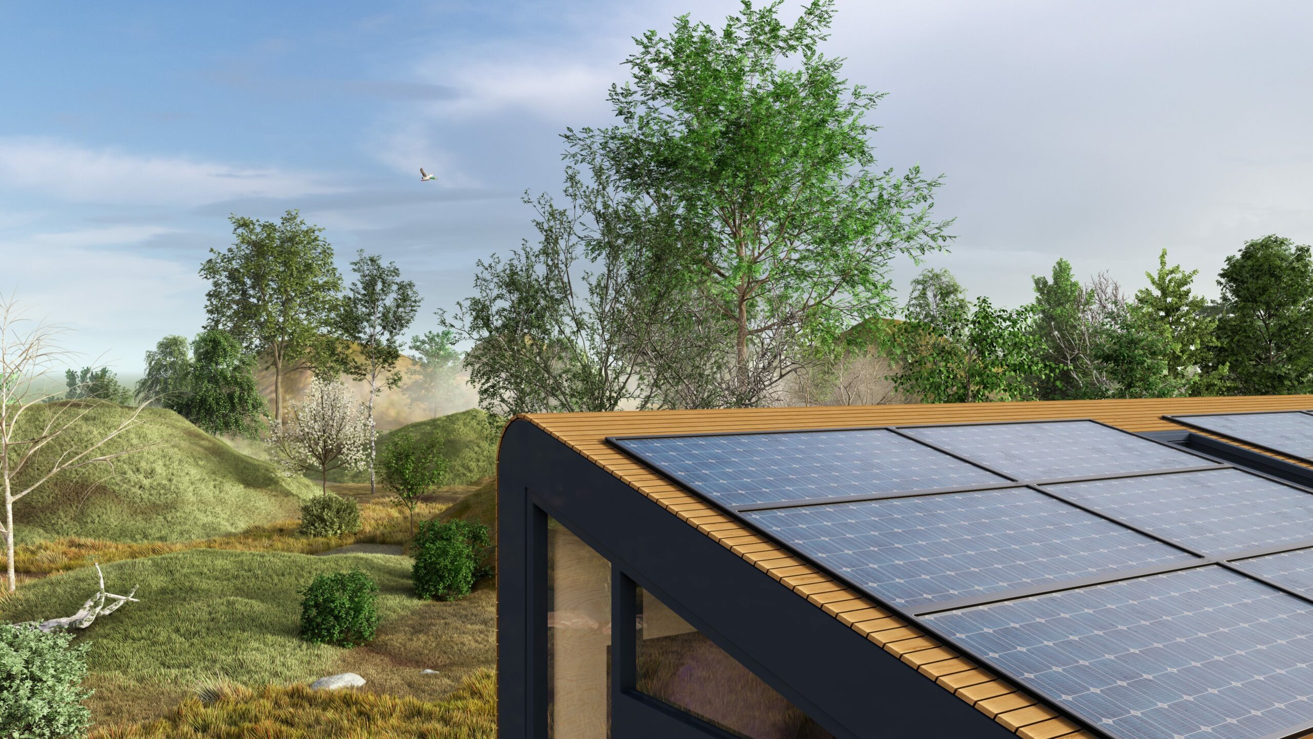 1_SX1_detail 1_design