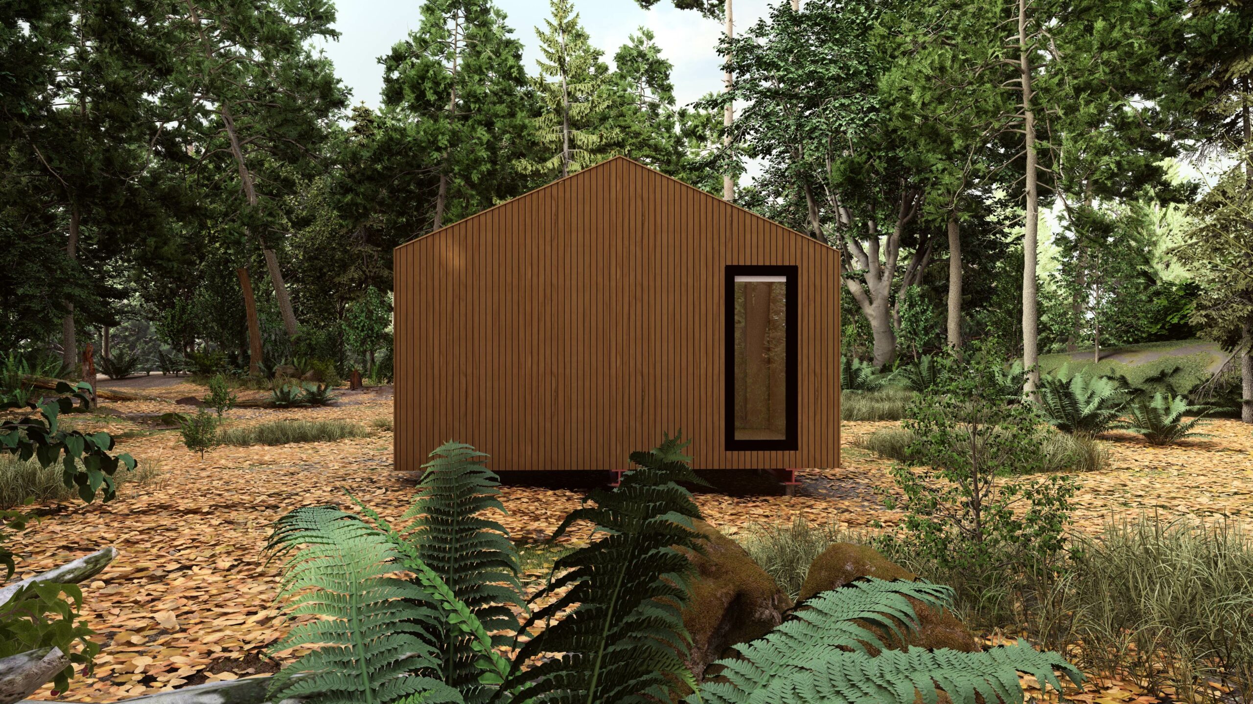 1_SX2_exterieur_5_basis